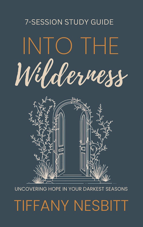 Into the Wilderness by Tiffany Nesbitt