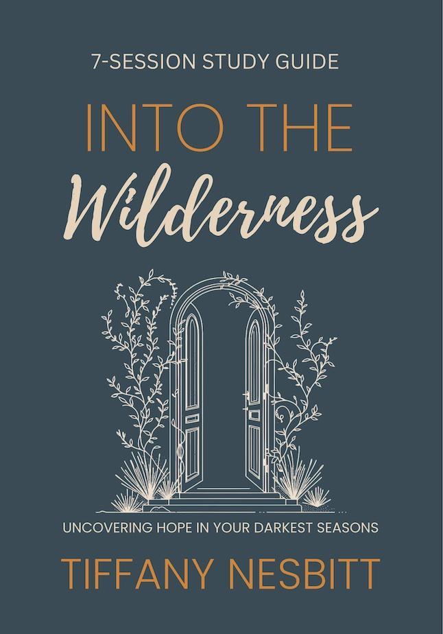 Into the Wilderness Bible Study