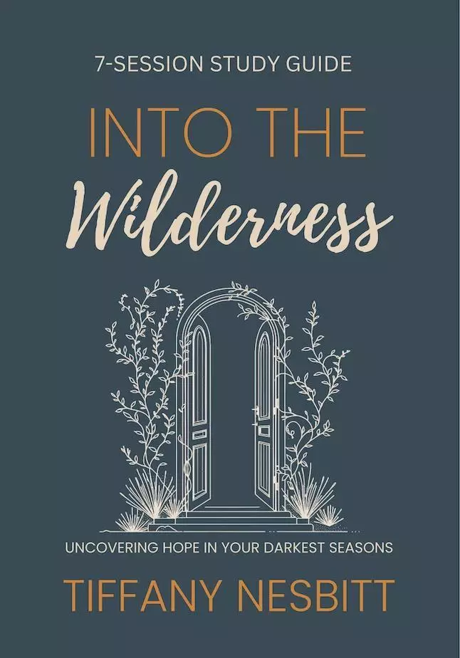 Into the Wilderness Bible Study